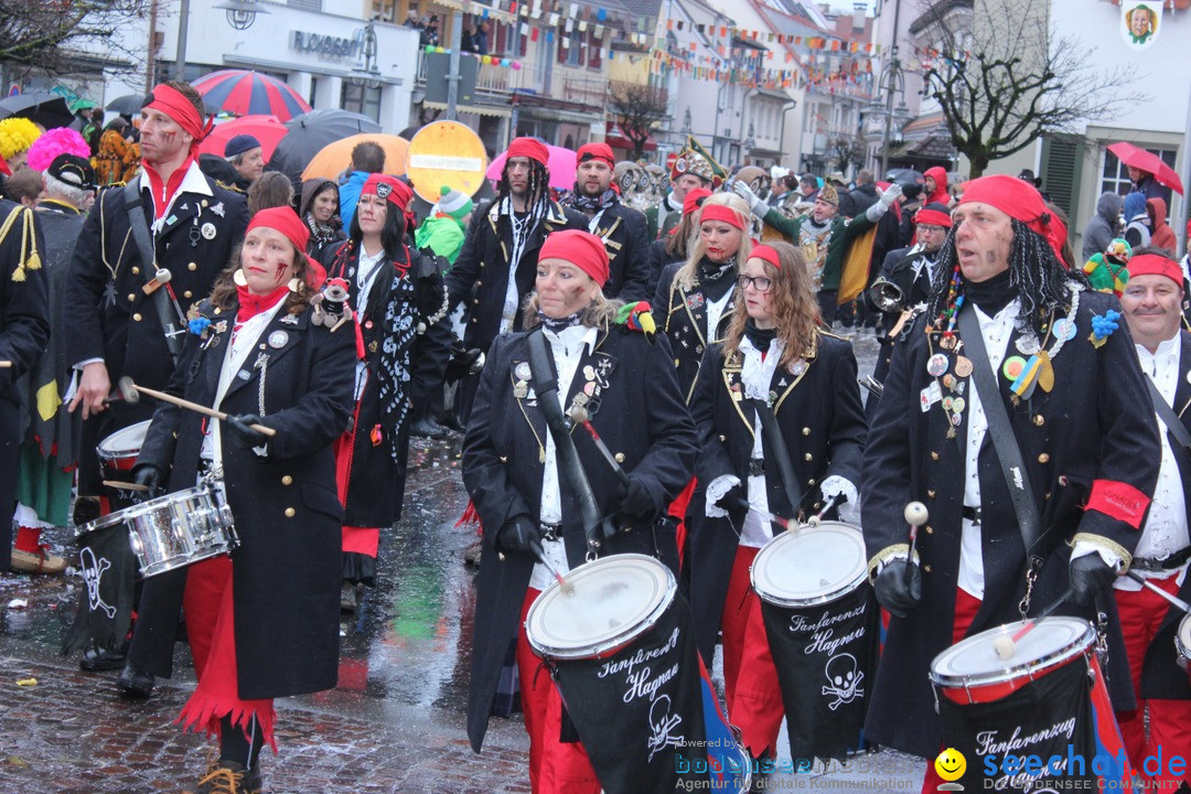 Fasnetsumzug - Fasching: Langenargen am Bodensee, 10.01.2016