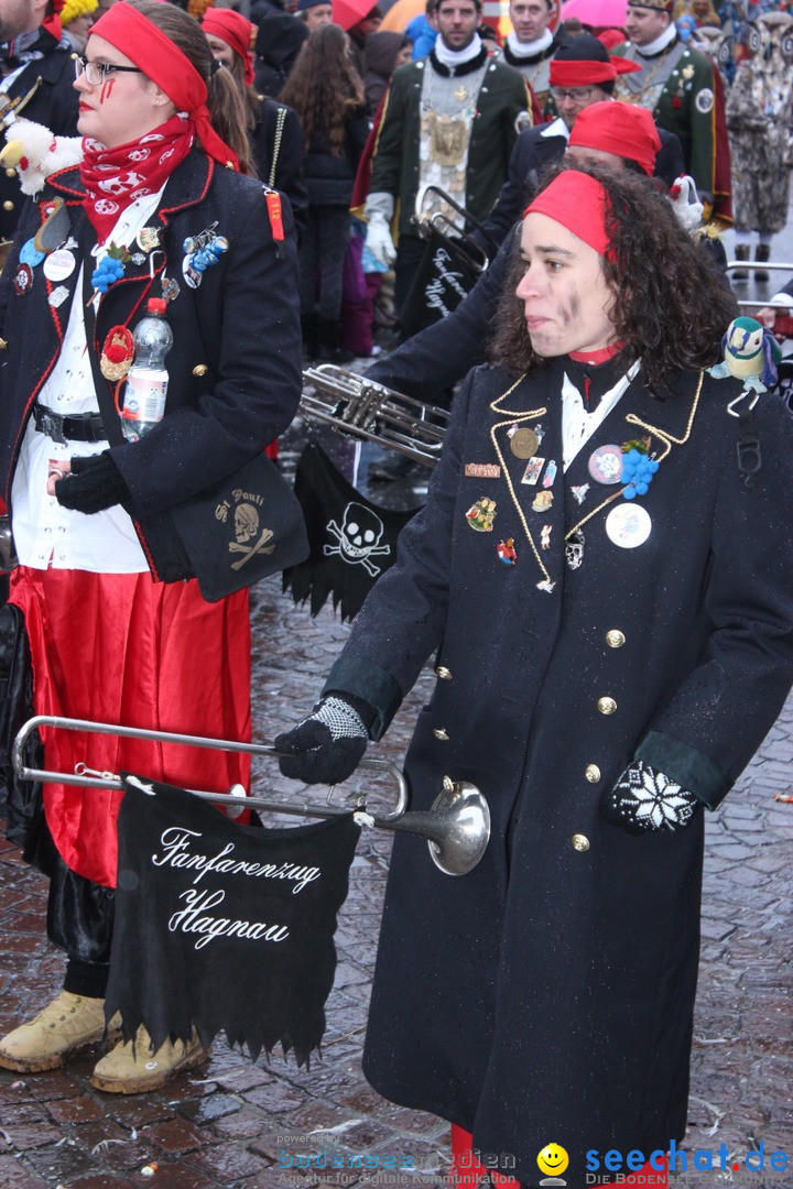 Fasnetsumzug - Fasching: Langenargen am Bodensee, 10.01.2016