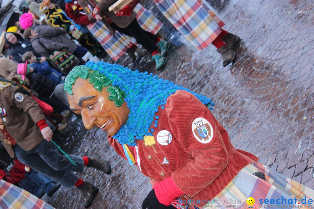 Fasnetsumzug - Fasching: Langenargen am Bodensee, 10.01.2016