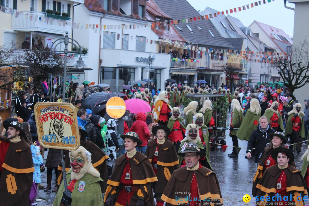 Fasnetsumzug - Fasching: Langenargen am Bodensee, 10.01.2016