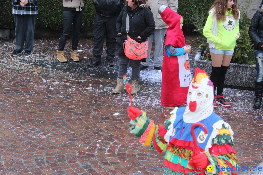 Fasnetsumzug - Fasching: Langenargen am Bodensee, 10.01.2016