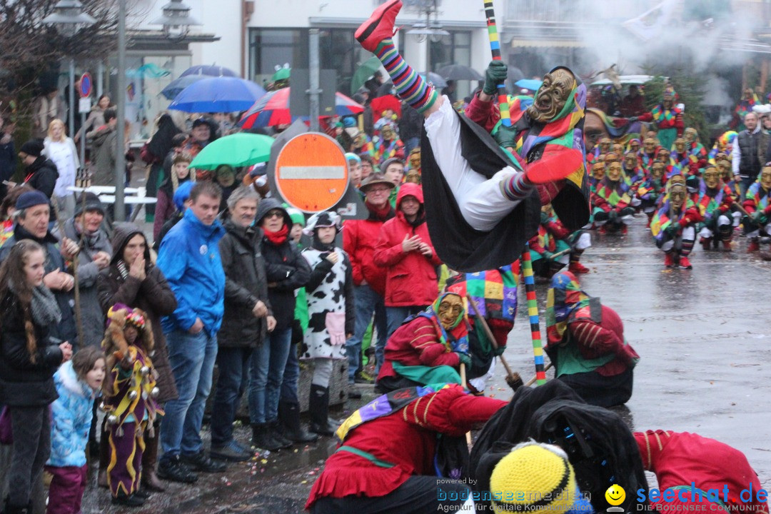 Fasnetsumzug - Fasching: Langenargen am Bodensee, 10.01.2016