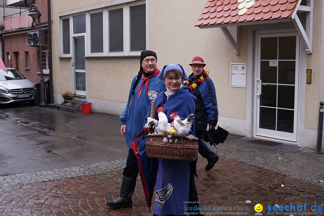 Fasnetsumzug - Fasching: Langenargen am Bodensee, 10.01.2016