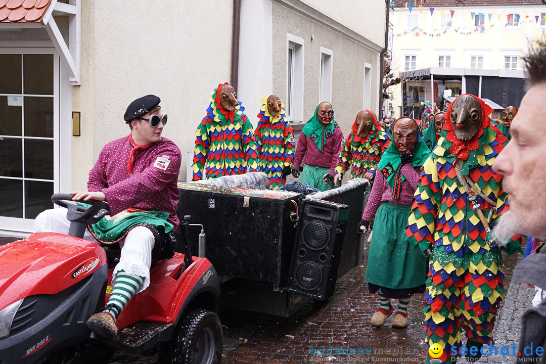 Fasnetsumzug - Fasching: Langenargen am Bodensee, 10.01.2016