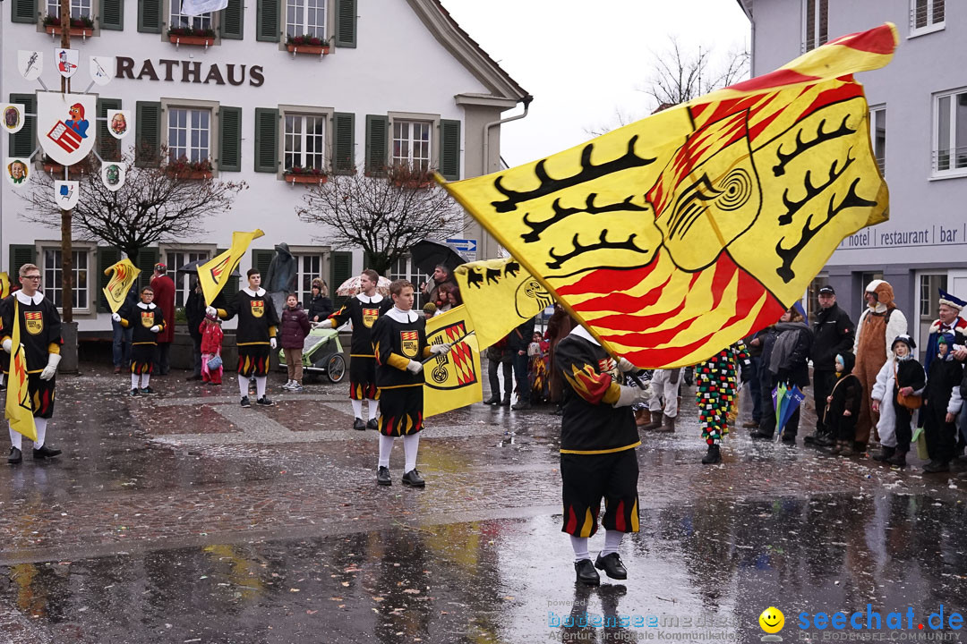 Fasnetsumzug - Fasching: Langenargen am Bodensee, 10.01.2016