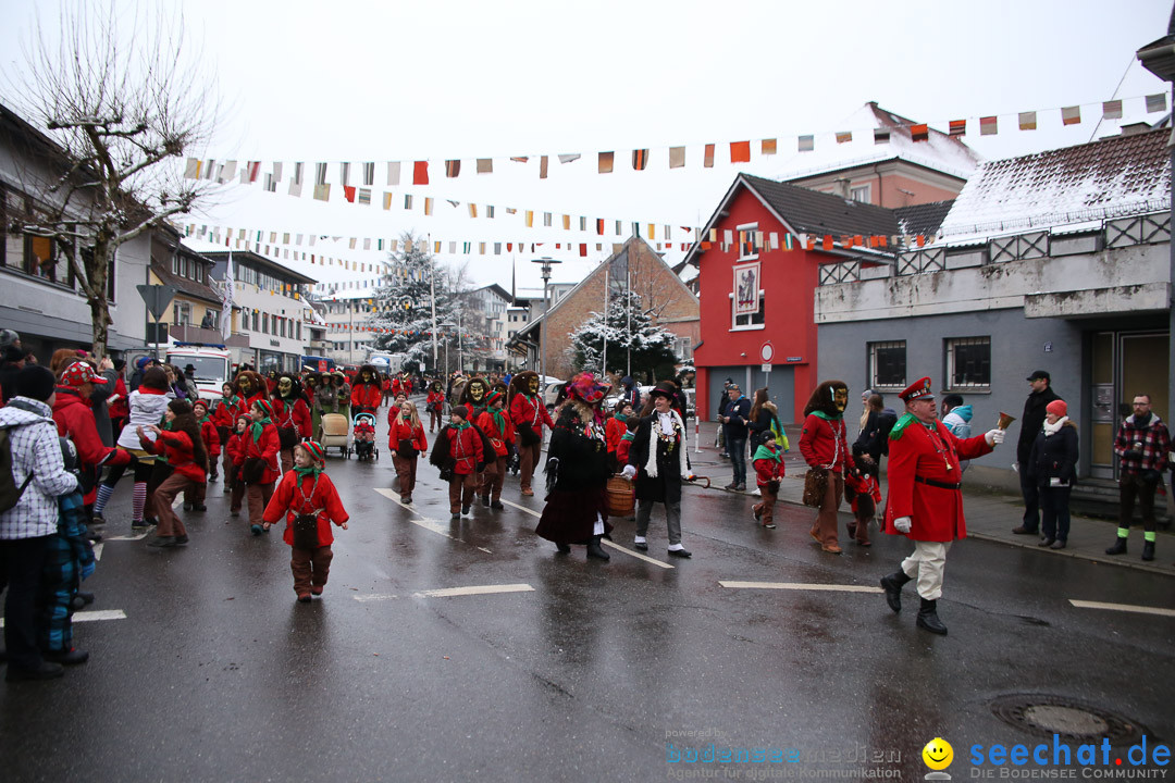 Fasnetsumzug - Fasching: Markdorf am Bodensee, 16.01.2016