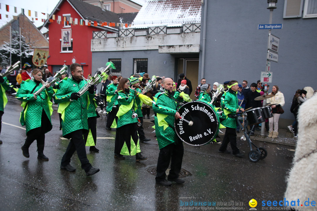 Fasnetsumzug - Fasching: Markdorf am Bodensee, 16.01.2016