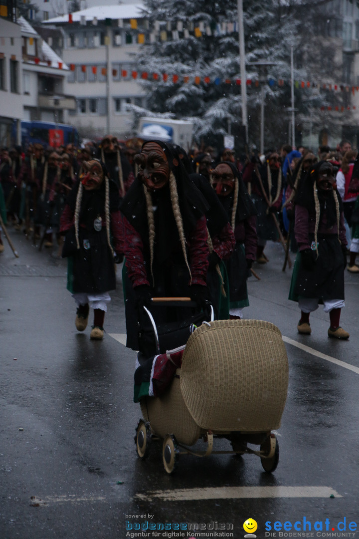 Fasnetsumzug - Fasching: Markdorf am Bodensee, 16.01.2016
