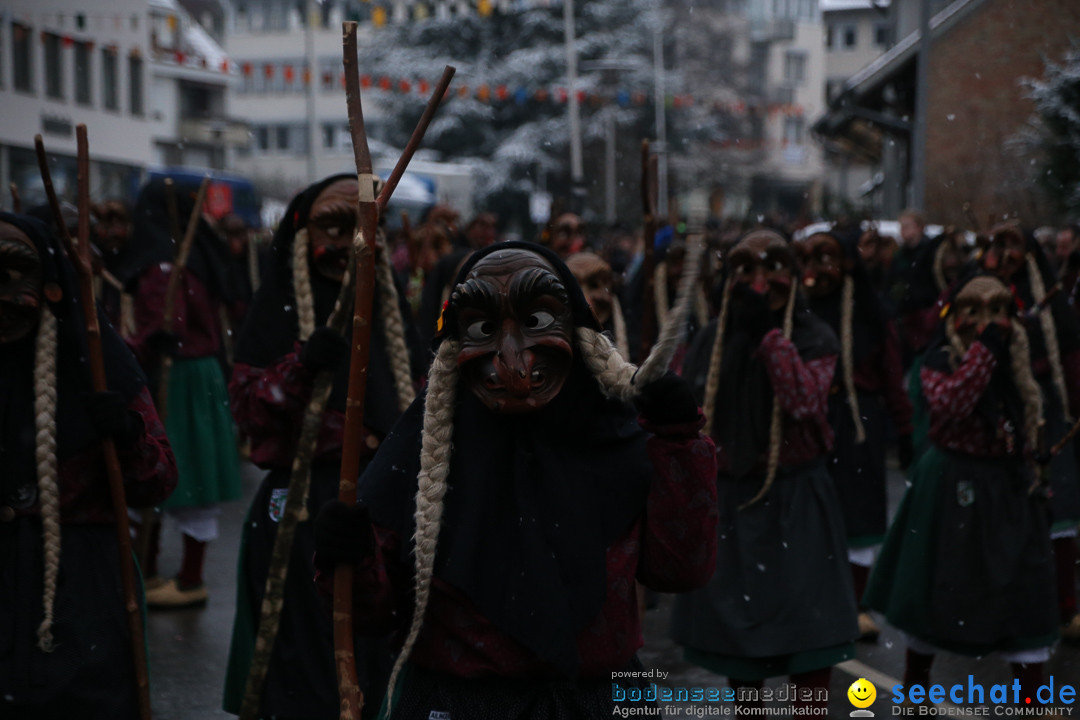 Fasnetsumzug - Fasching: Markdorf am Bodensee, 16.01.2016