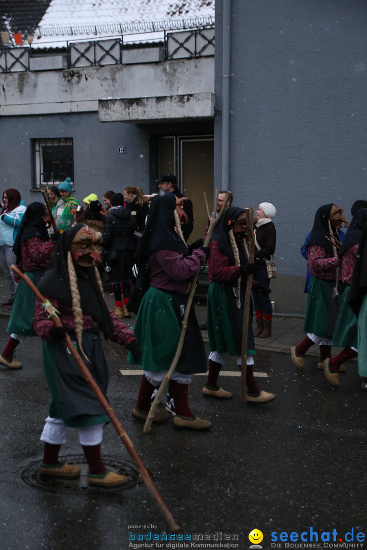 Fasnetsumzug - Fasching: Markdorf am Bodensee, 16.01.2016