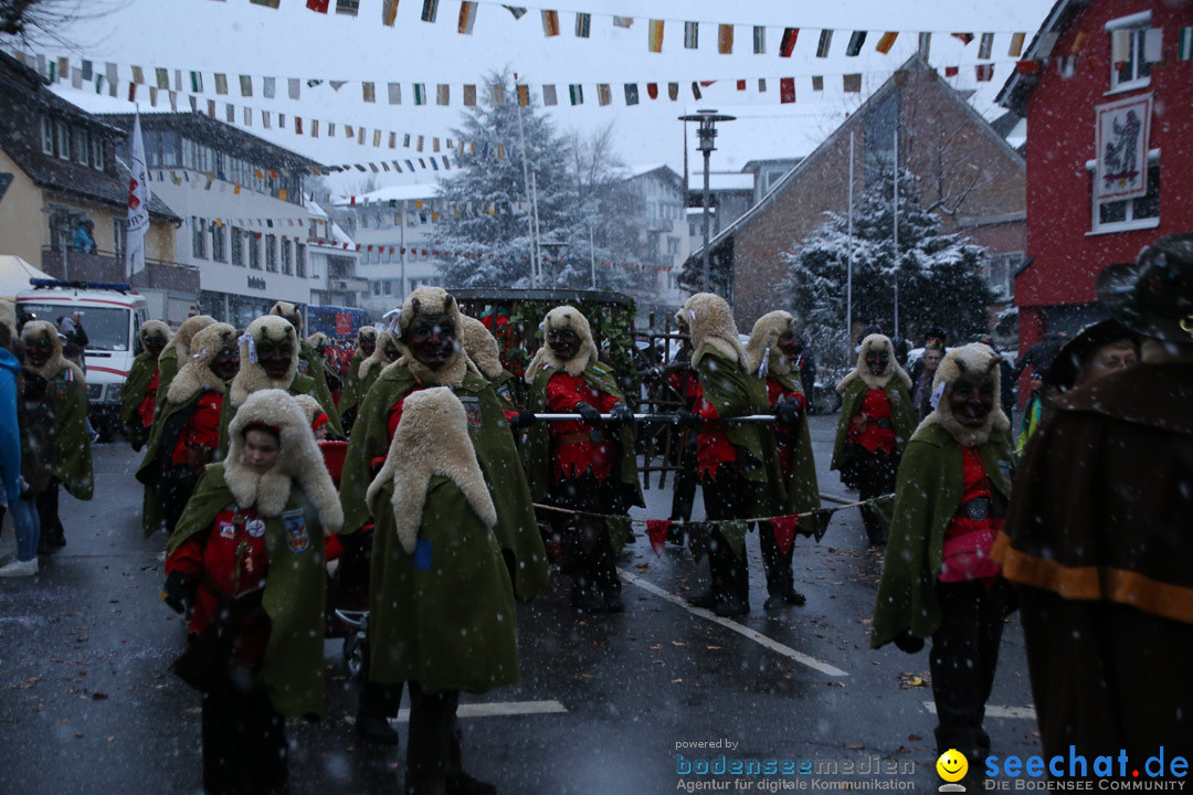 Fasnetsumzug - Fasching: Markdorf am Bodensee, 16.01.2016
