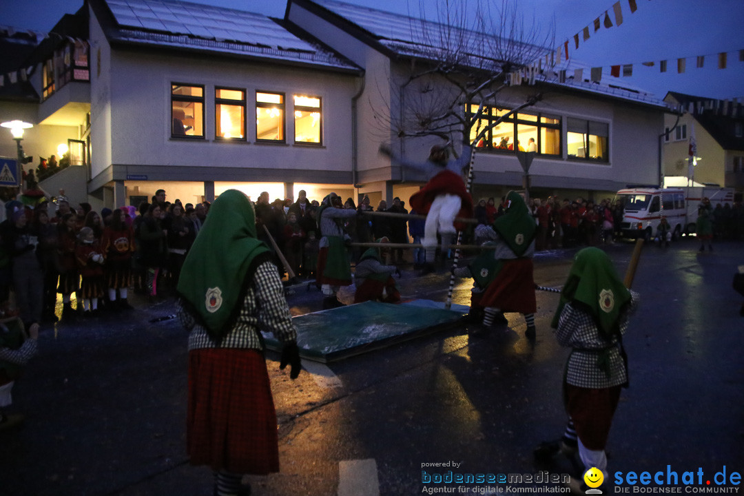 Fasnetsumzug - Fasching: Markdorf am Bodensee, 16.01.2016
