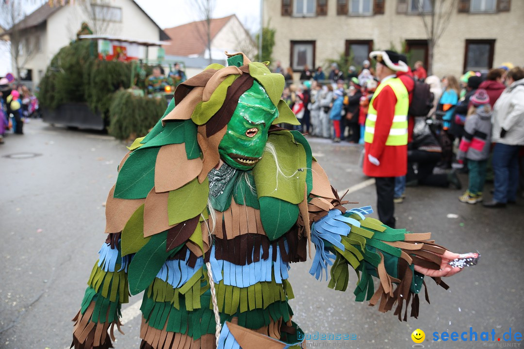Fasnachtsumzug und Narrentage: Welschingen, 24.01.2016