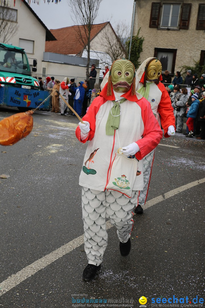 Fasnachtsumzug und Narrentage: Welschingen, 24.01.2016