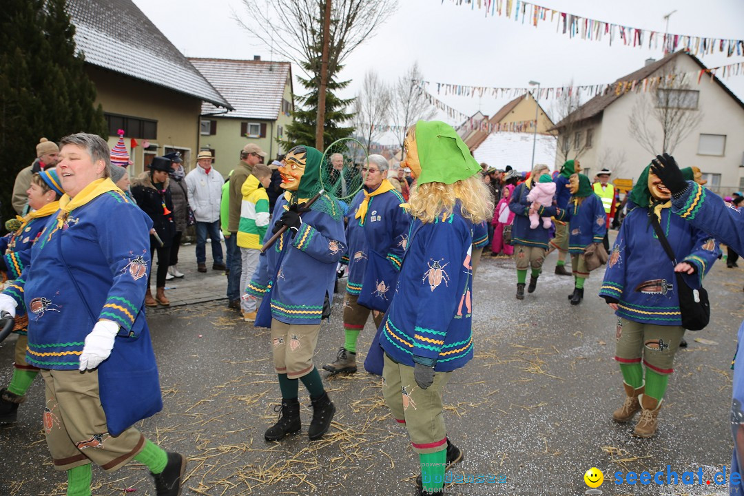 Fasnachtsumzug und Narrentage: Welschingen, 24.01.2016