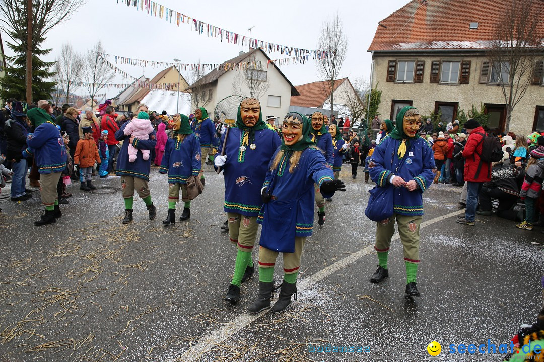Fasnachtsumzug und Narrentage: Welschingen, 24.01.2016