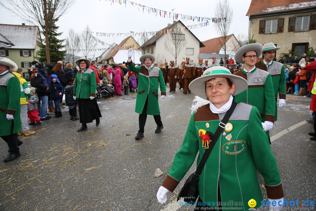 Fasnachtsumzug und Narrentage: Welschingen, 24.01.2016