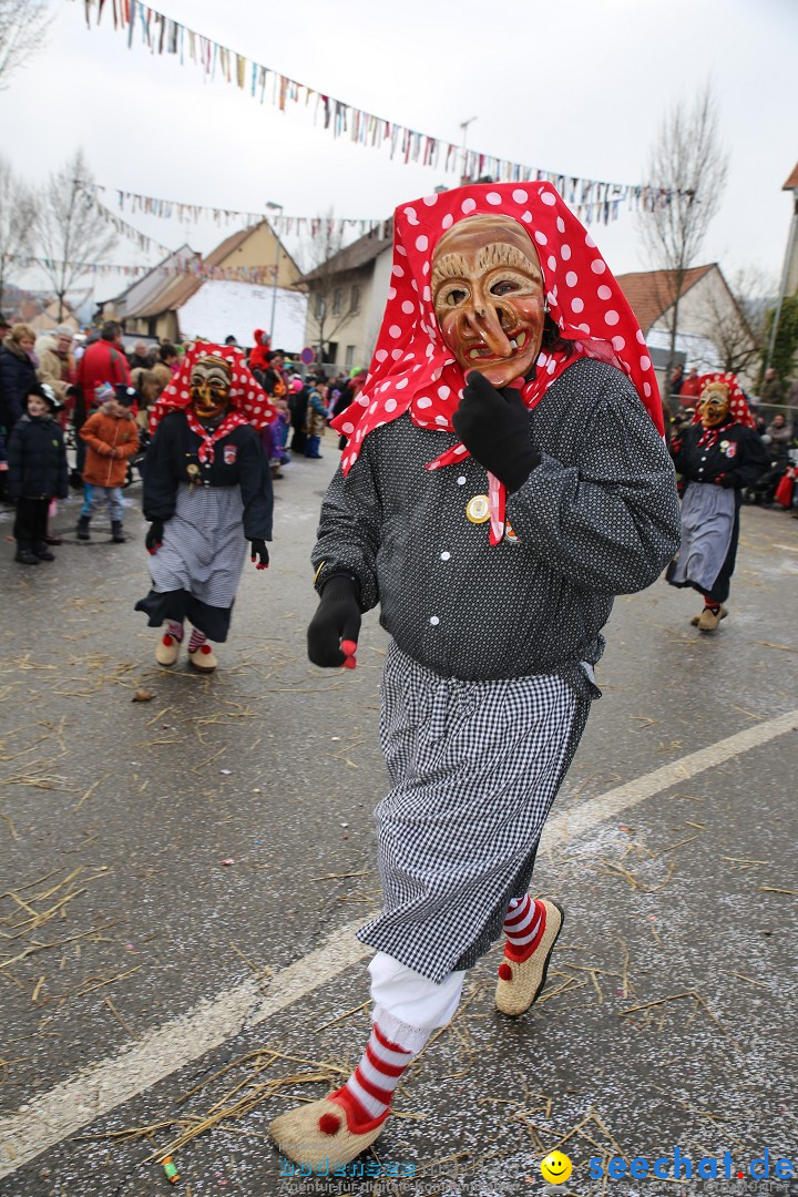 Fasnachtsumzug und Narrentage: Welschingen, 24.01.2016