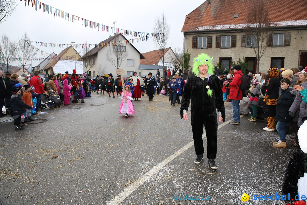 Fasnachtsumzug und Narrentage: Welschingen, 24.01.2016