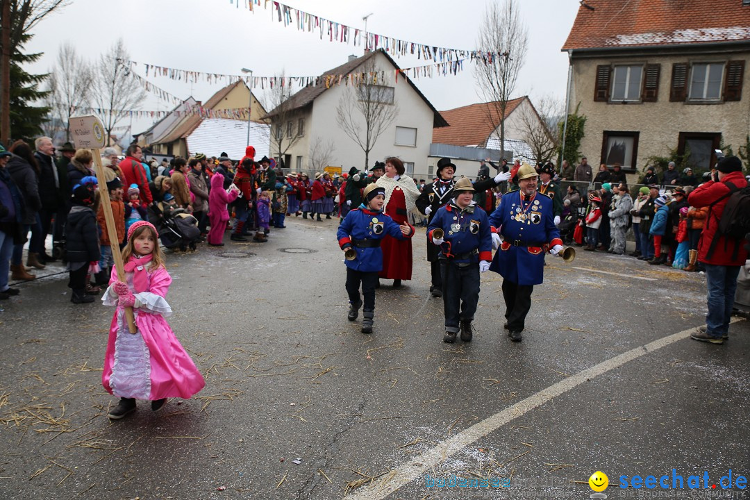 Fasnachtsumzug und Narrentage: Welschingen, 24.01.2016