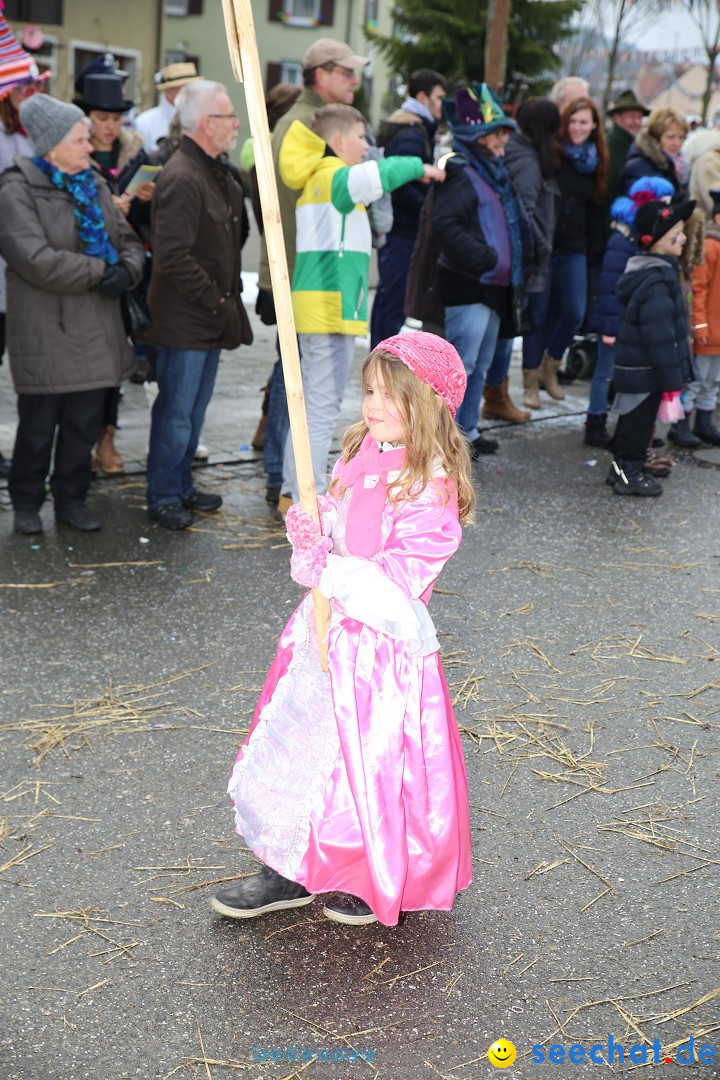 Fasnachtsumzug und Narrentage: Welschingen, 24.01.2016