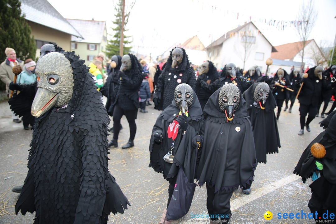 Fasnachtsumzug und Narrentage: Welschingen, 24.01.2016