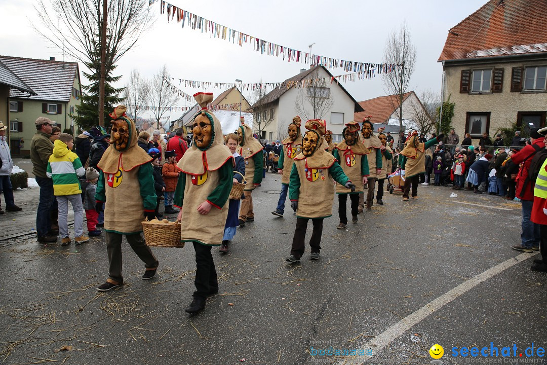 Fasnachtsumzug und Narrentage: Welschingen, 24.01.2016