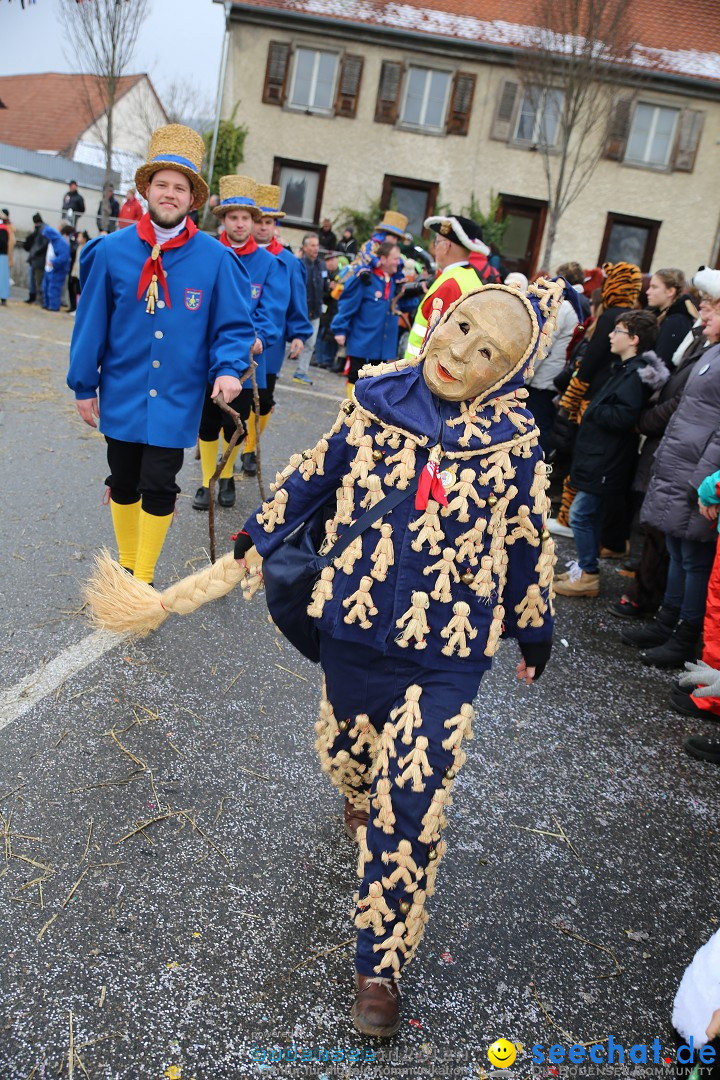 Fasnachtsumzug und Narrentage: Welschingen, 24.01.2016