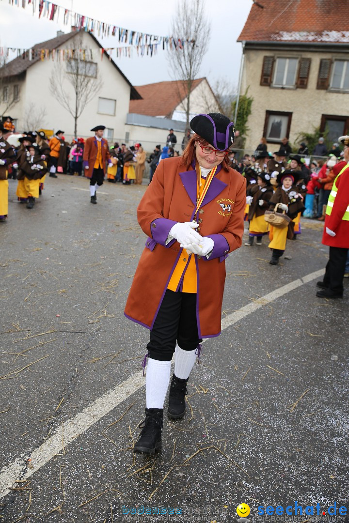 Fasnachtsumzug und Narrentage: Welschingen, 24.01.2016