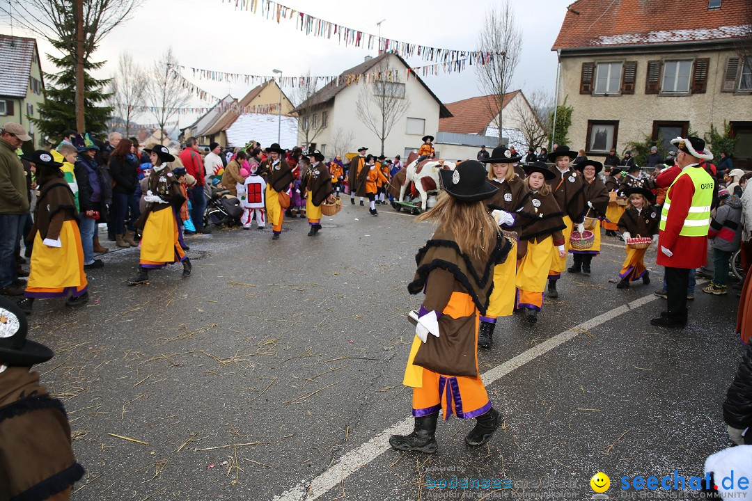 Fasnachtsumzug und Narrentage: Welschingen, 24.01.2016