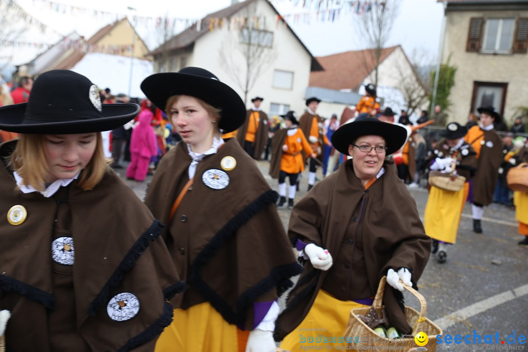 Fasnachtsumzug und Narrentage: Welschingen, 24.01.2016