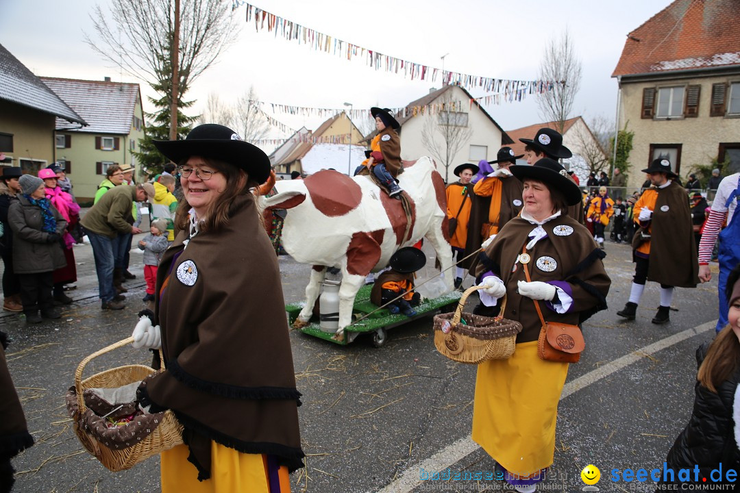 Fasnachtsumzug und Narrentage: Welschingen, 24.01.2016