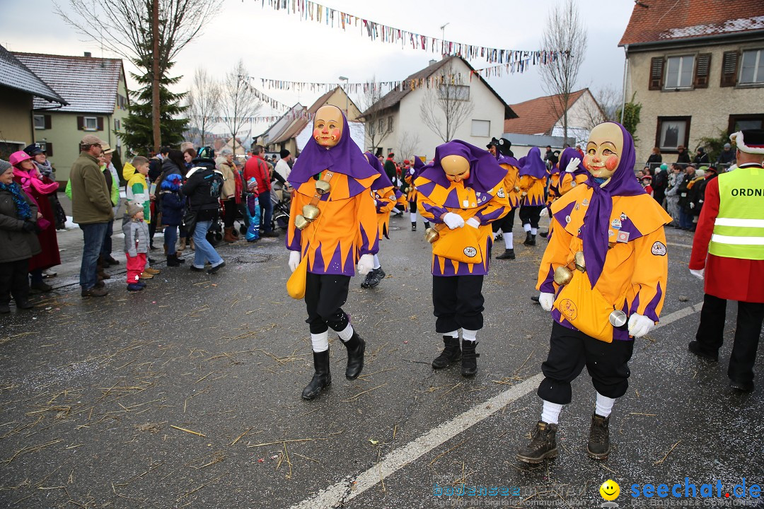 Fasnachtsumzug und Narrentage: Welschingen, 24.01.2016