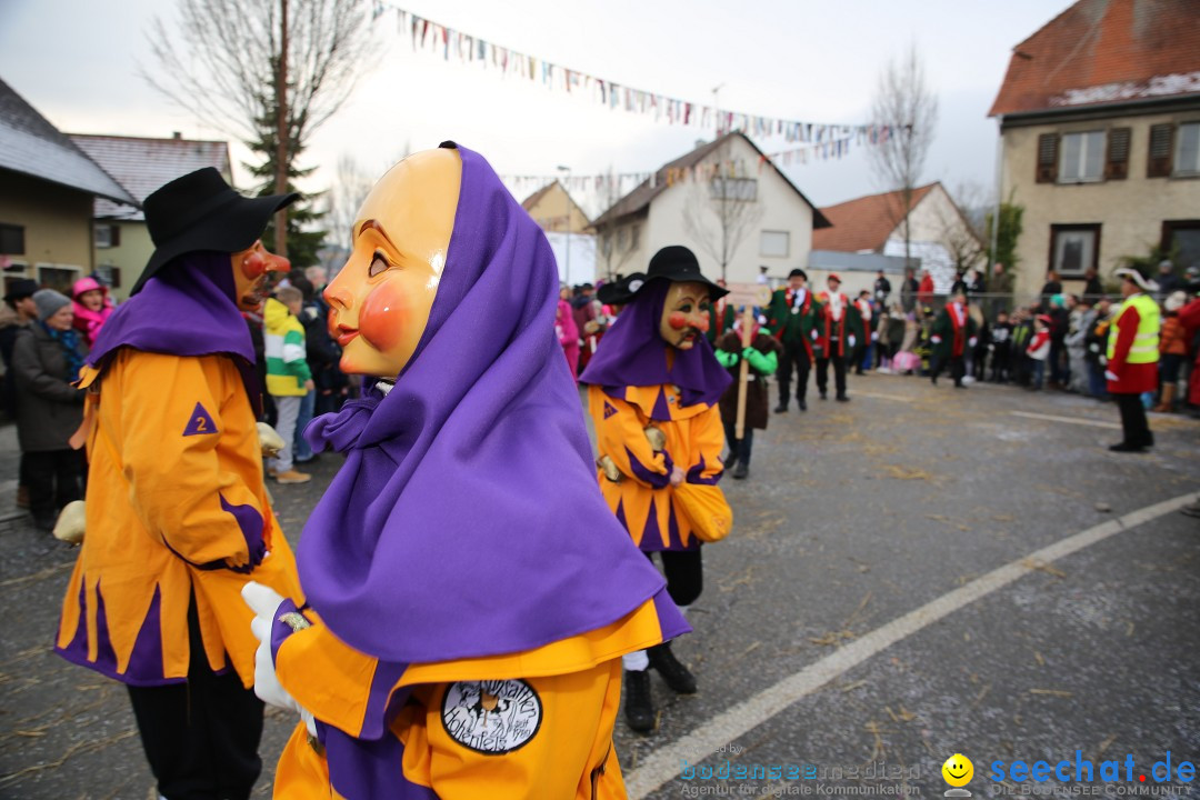 Fasnachtsumzug und Narrentage: Welschingen, 24.01.2016
