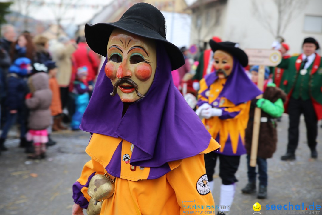 Fasnachtsumzug und Narrentage: Welschingen, 24.01.2016