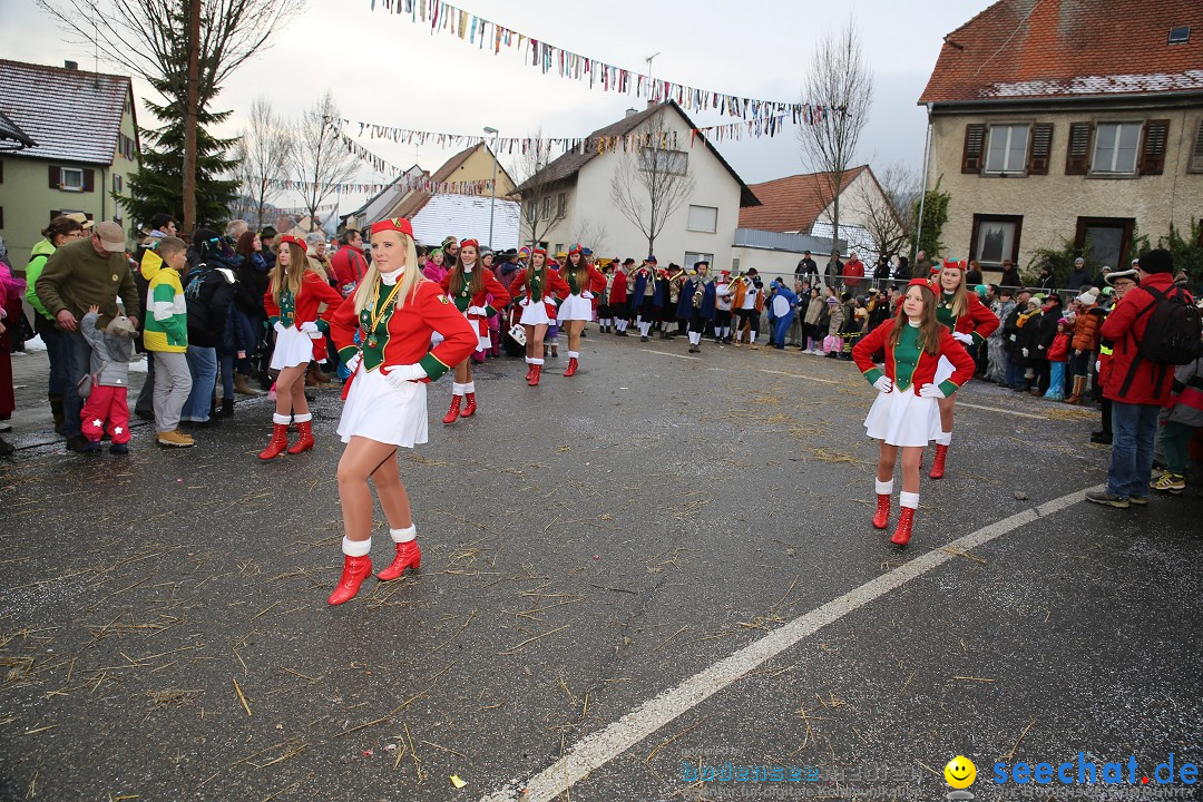 Fasnachtsumzug und Narrentage: Welschingen, 24.01.2016