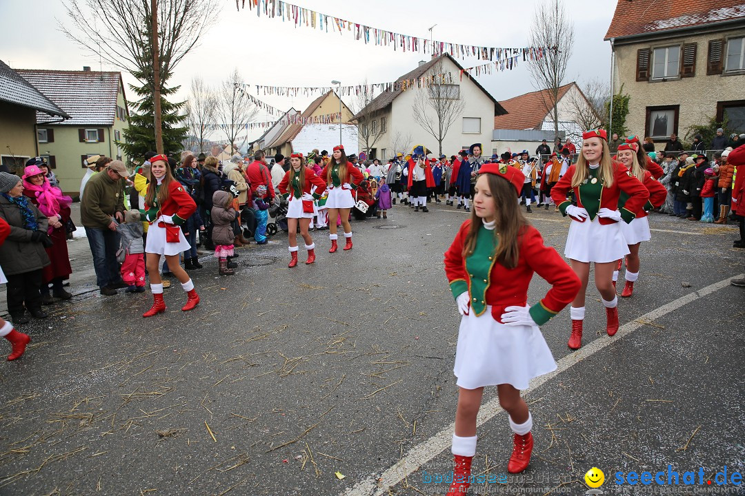 Fasnachtsumzug und Narrentage: Welschingen, 24.01.2016