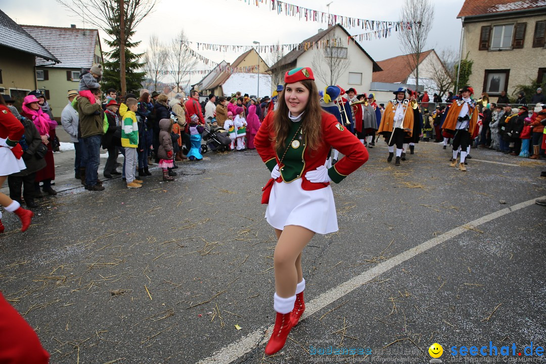 Fasnachtsumzug und Narrentage: Welschingen, 24.01.2016