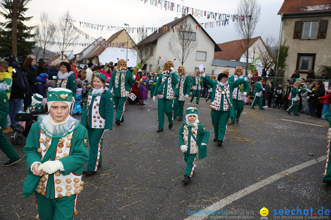 Fasnachtsumzug und Narrentage: Welschingen, 24.01.2016