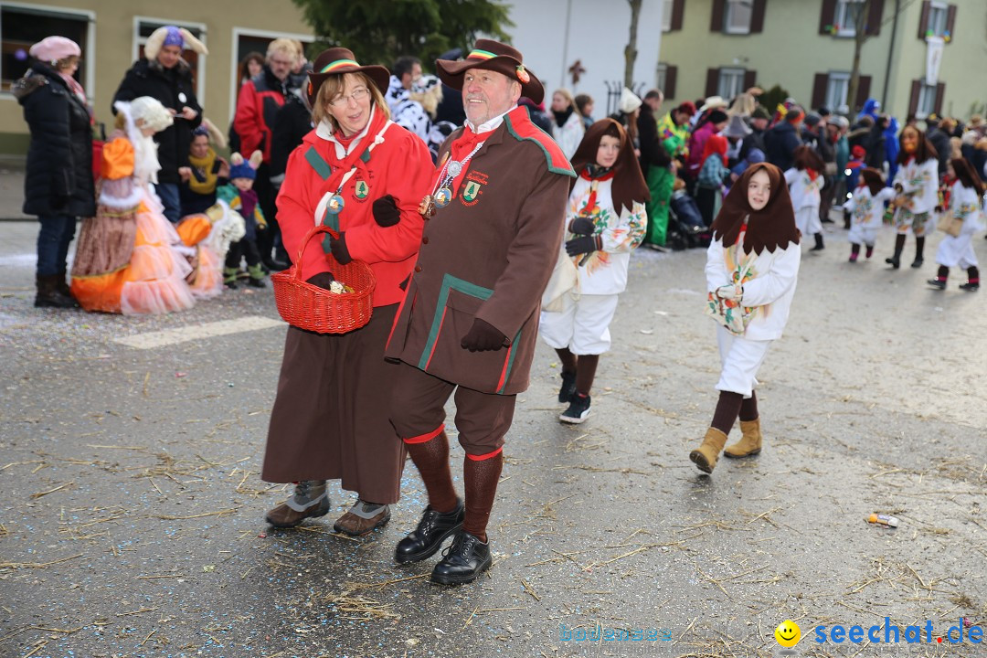 Fasnachtsumzug und Narrentage: Welschingen, 24.01.2016