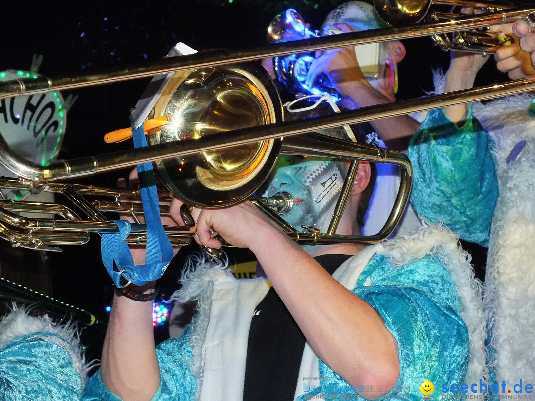 Bandscheibenball 2016: Bad Buchau am Bodensee, 29.01.2016