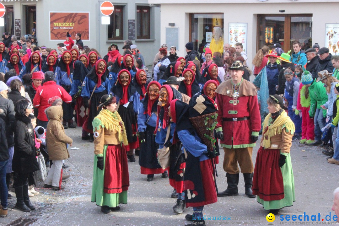 Rosenmontags-Umzug: Ravensburg am Bodensee, 08.02.2016