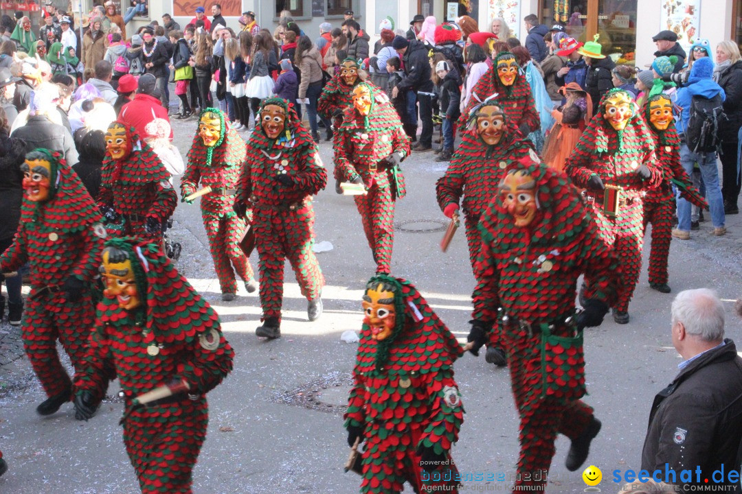 Rosenmontags-Umzug: Ravensburg am Bodensee, 08.02.2016