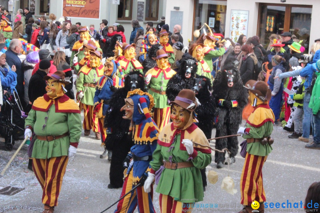 Rosenmontags-Umzug: Ravensburg am Bodensee, 08.02.2016
