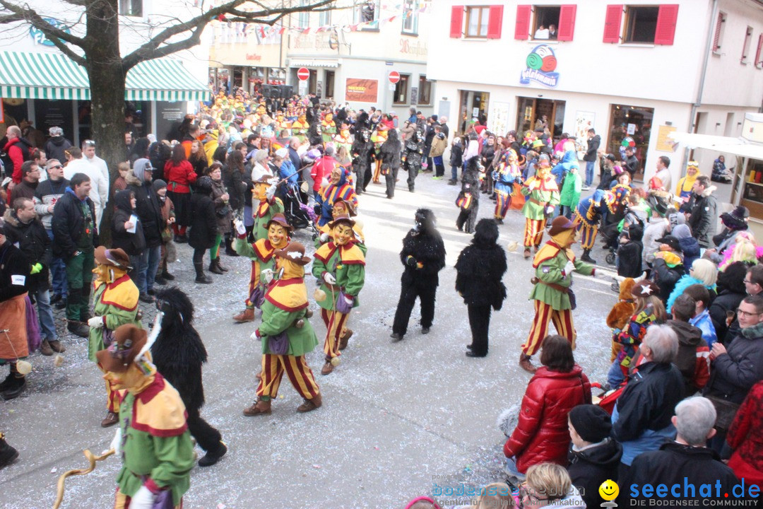 Rosenmontags-Umzug: Ravensburg am Bodensee, 08.02.2016