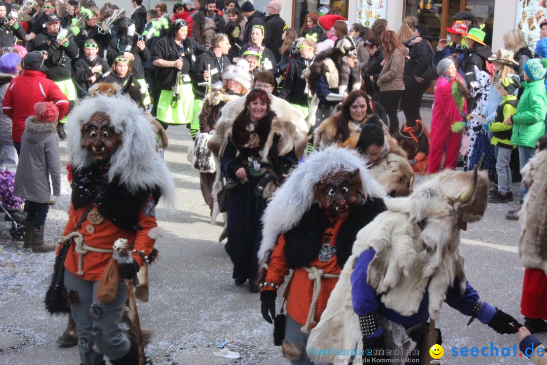 Rosenmontags-Umzug: Ravensburg am Bodensee, 08.02.2016