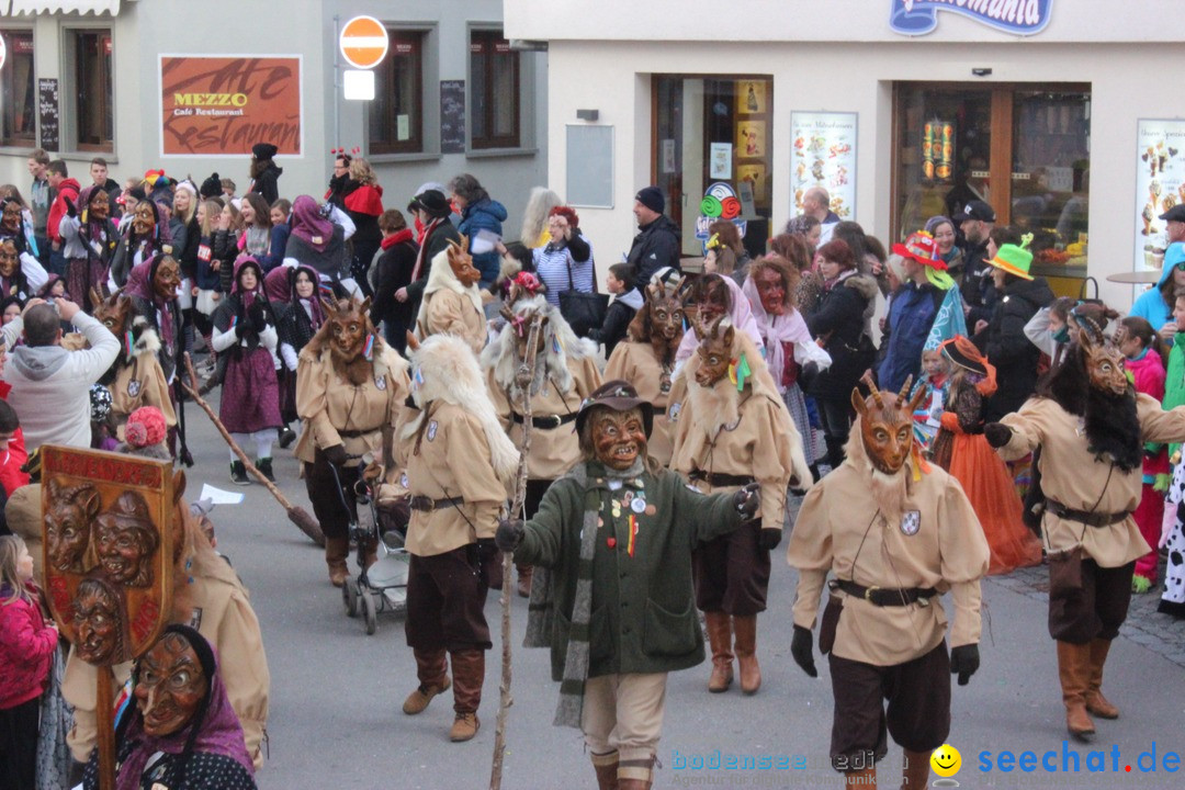 Rosenmontags-Umzug: Ravensburg am Bodensee, 08.02.2016