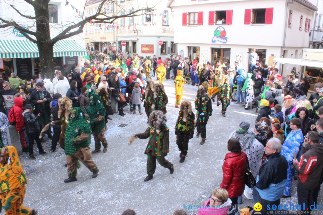 Rosenmontags-Umzug: Ravensburg am Bodensee, 08.02.2016