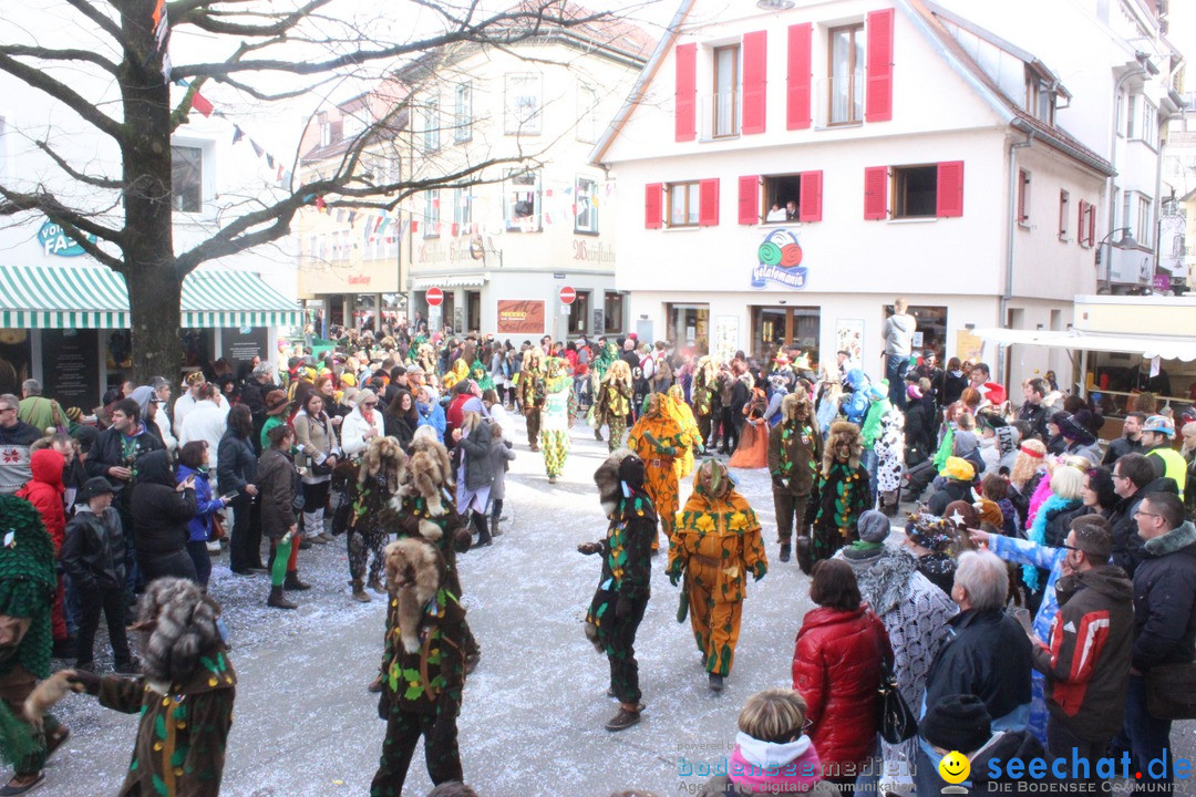 Rosenmontags-Umzug: Ravensburg am Bodensee, 08.02.2016