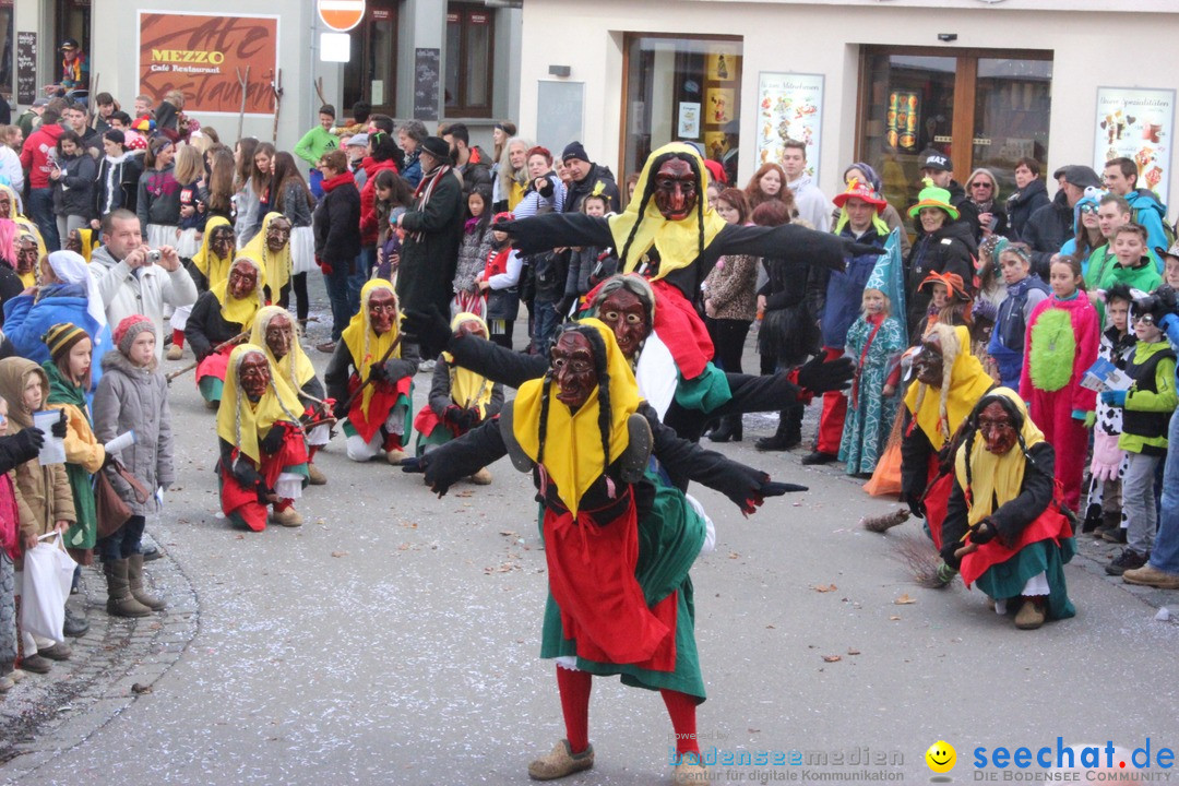 Rosenmontags-Umzug: Ravensburg am Bodensee, 08.02.2016